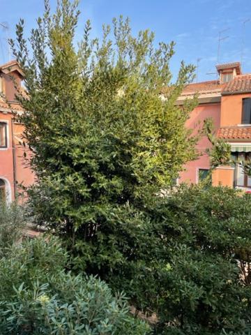 Ca' Della Carita' Apartment Venice Luaran gambar